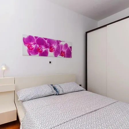 Apartment In Zadar/Zadar Riviera 7844 公寓 扎达尔