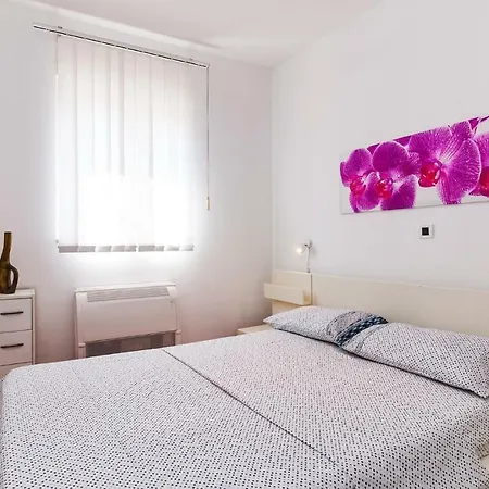 Apartment In Zadar/Zadar Riviera 7844